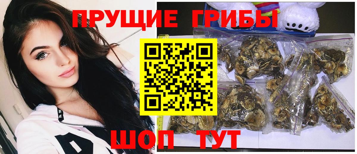 даркнет сайт  Вход с VPN  Рязань  Галлюциногенные грибы Cubensis 