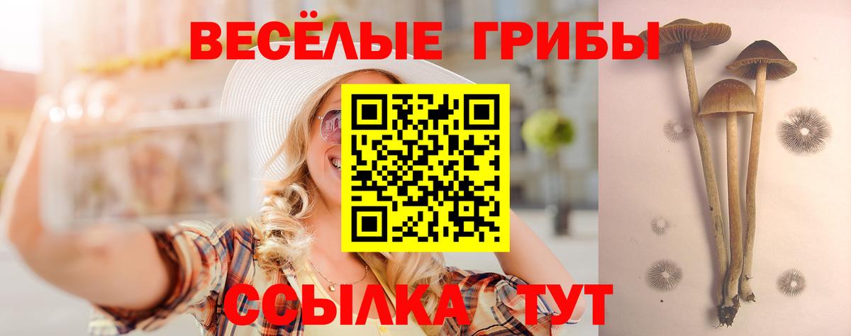 Псилоцибиновые грибы ЛСД Рязань